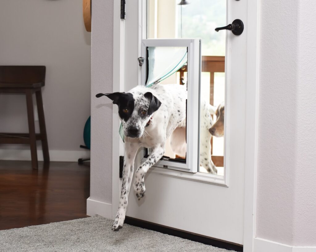 Pet Doors - Carolina Home Remodeling Specialists