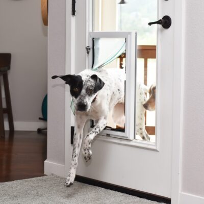 Pet Doors - Carolina Home Remodeling Specialists