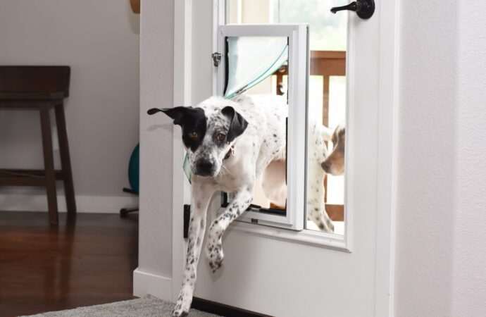 Pet Doors - Carolina Home Remodeling Specialists