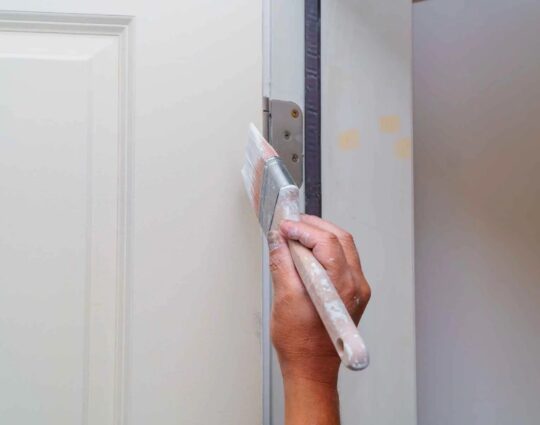 door painting - Carolina Home Remodeling Specialists